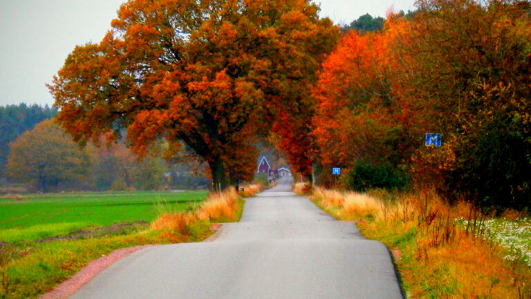 Så förbereder du bolaget för ökade hållbarhetskrav – fyra steg