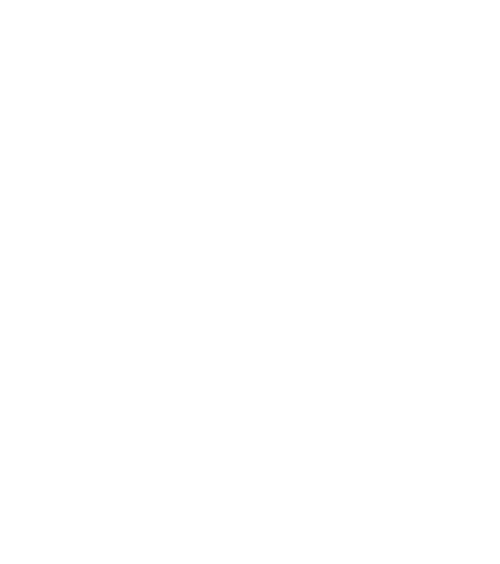Merit Moment logo vit